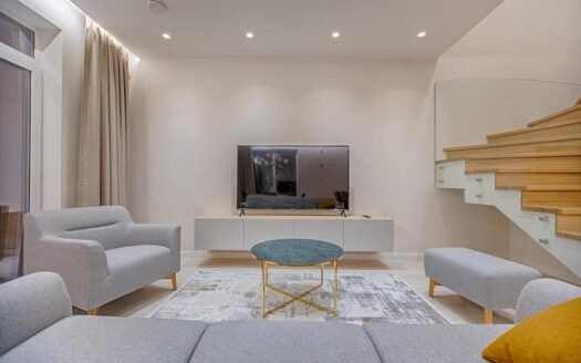 Modern City Apartment